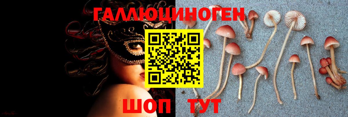 Псилоцибиновые грибы мухоморы  Галлюциногенные грибы ЛСД  Магнитогорск  Вход с VPN 
